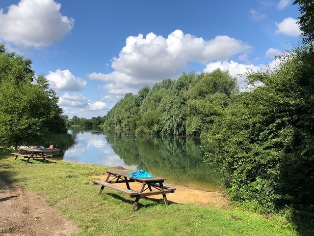 Wild - Swim spot of the day - Redricks Open Water Swimming...