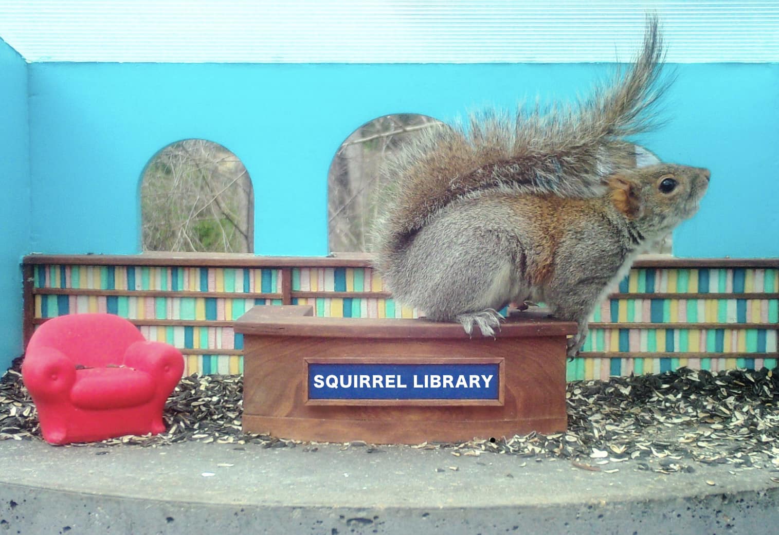Bird Library