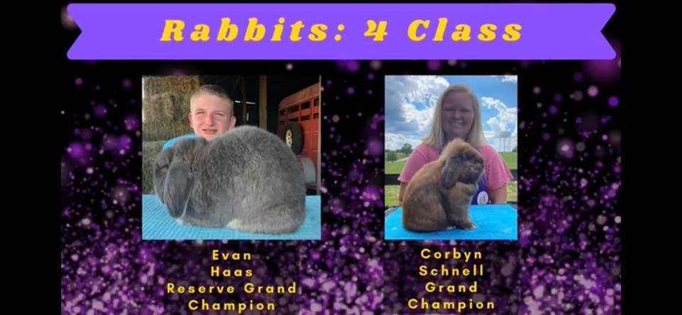 Happy Hoppers Rabbitry