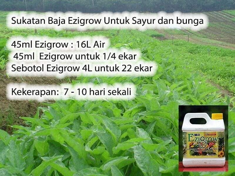 Su Baja Ezigrow 1 Malaysia Sabah Sarawak Brunei Singapura Facebook