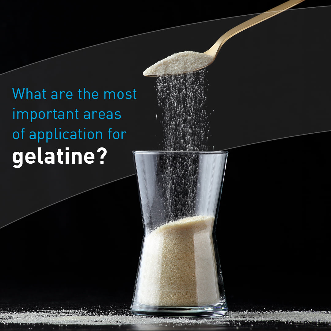 Halavet Gıda - What are the most important areas of...