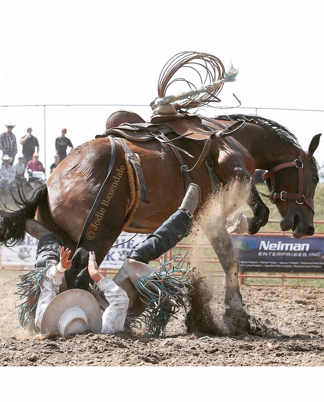 JodieB Photography by Jodie Baxendale - At the 2018 Ride a Horse Feed a ...