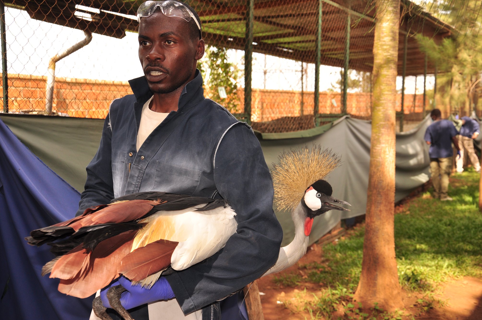 This week we are conducting health checks at our quarantine facility ...
