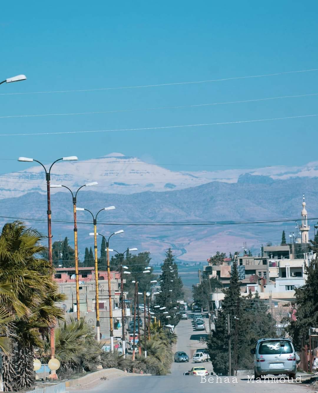 عشيرة Abasa عباسا تاريخ وأصالة - ️ الكورد في حماه إسماعيل الملي حاكم ...