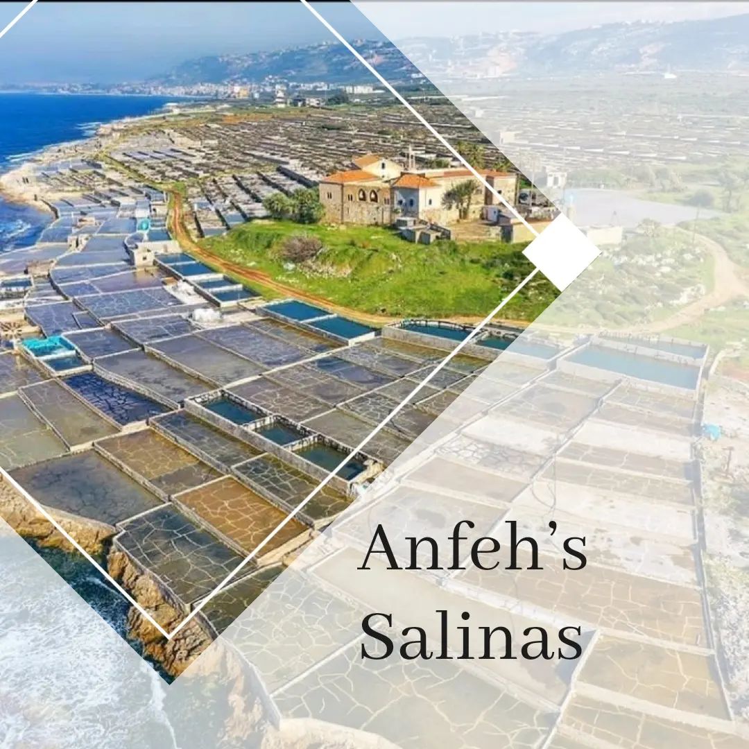 Top 5 Places To Visit in... - Anfeh Al-Koura أنفه الكورة | Facebook