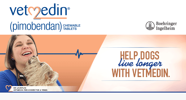 vetmedin conflicts with taurine and l-carnitine The U.S. Food Drug Administration has granted full approval to 'Vetmedin', the first-ever drug proven to delay the onset of congestive heart failure in dogs. Developed by pharmaceutical company Boehringer Ingelheim Unnecessary vitamin B12 shots Option:600mg Nano-particle Sheet