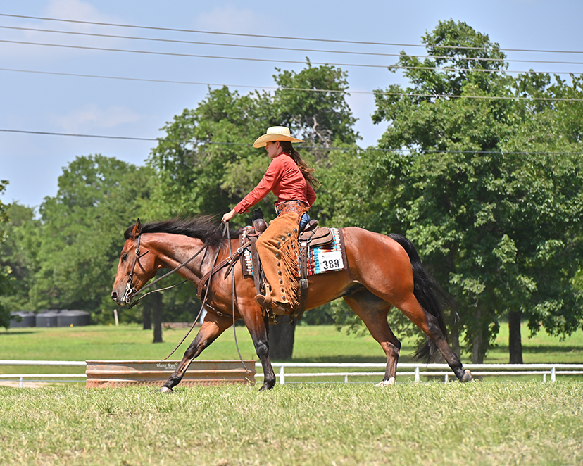 AQHA Showing - Congratulations to the rookie amateur ranch... | Facebook