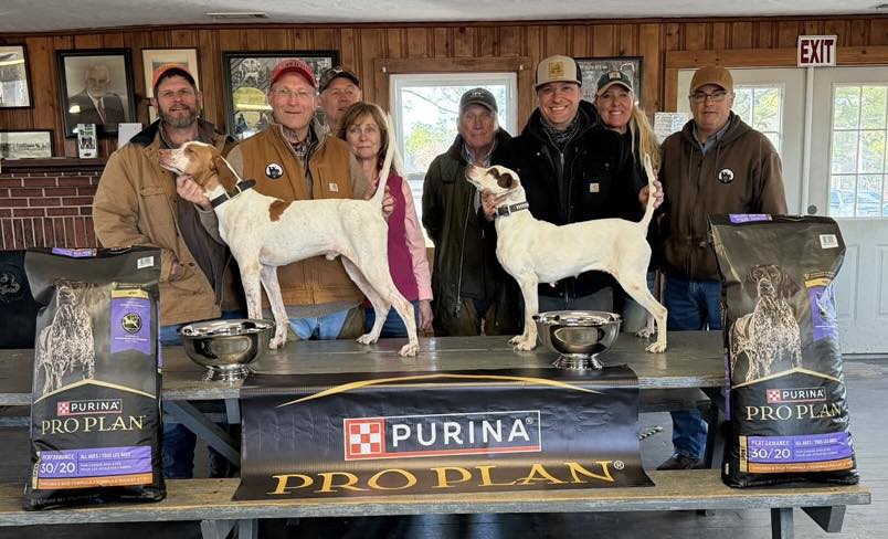 Lane - Region 3 shooting dog championship 40 Dogs Hoffman NC Ch ...