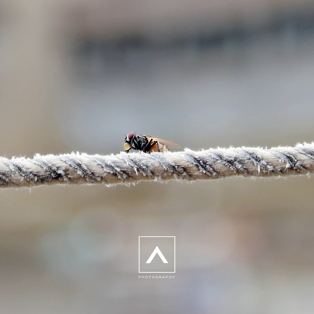 Aftab Hussain Photography