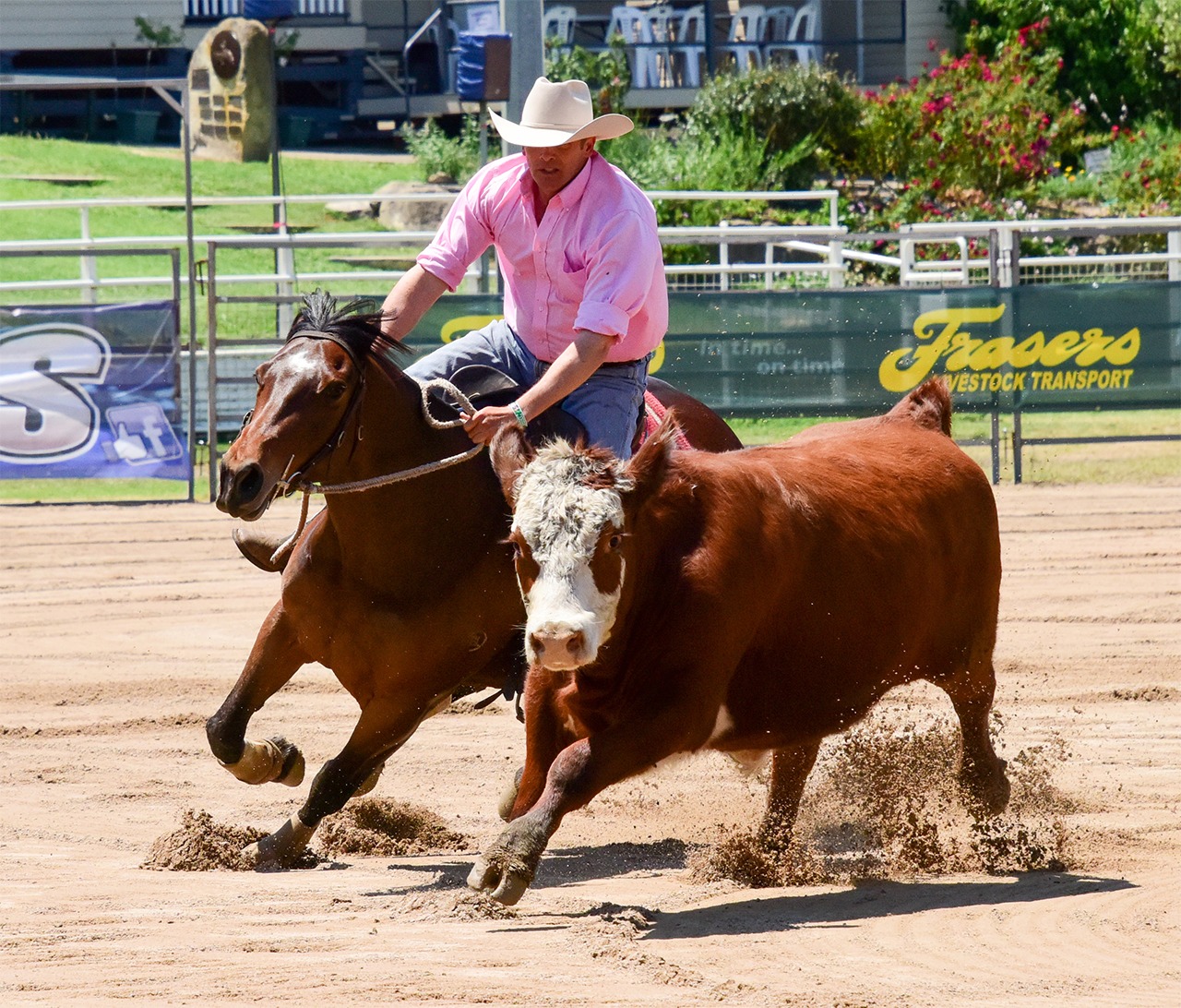 Select - BULLA MARTHA (by Bonlac Gigolo) are standouts on any given ...
