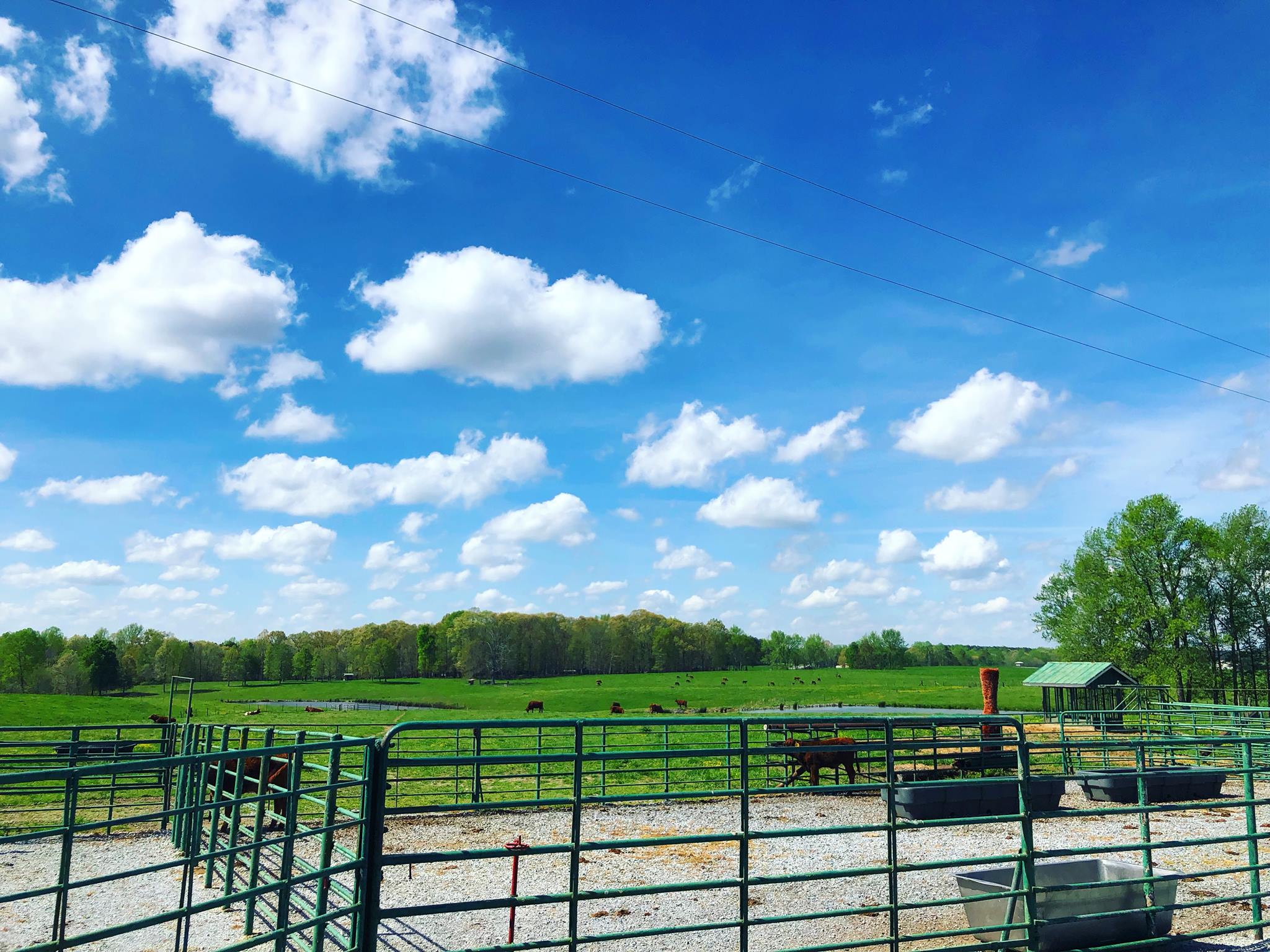 Perry's Hav-No-Gotta Ranch | Rockmart GA