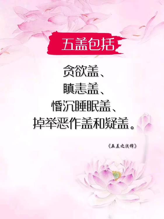 卢军宏台长观世音菩萨心灵法门 五盖之浅释 摘录卢台长讲述于观音堂2020 03 23 Facebook