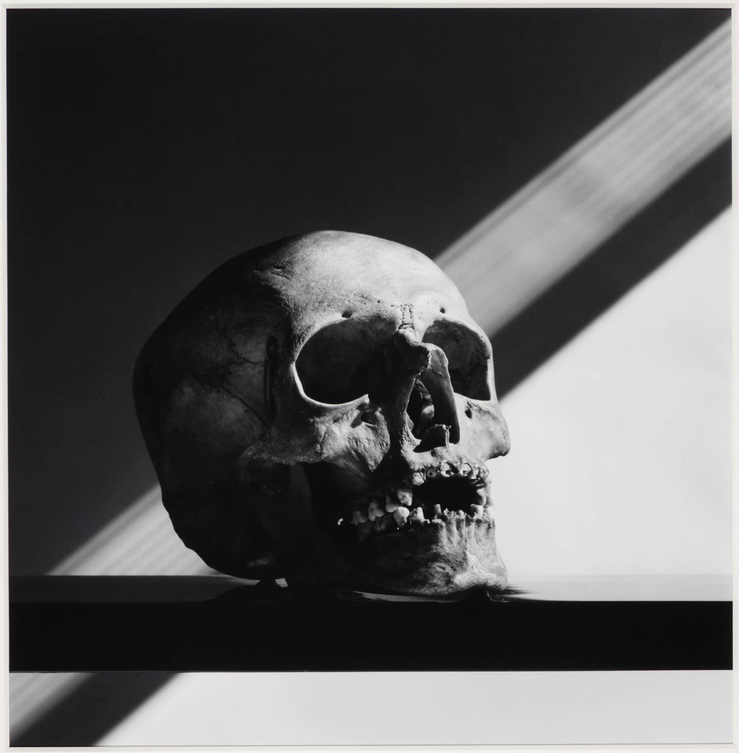 Memento mori' Robert Mapplethorpe Last self portrait 1988 Platinum