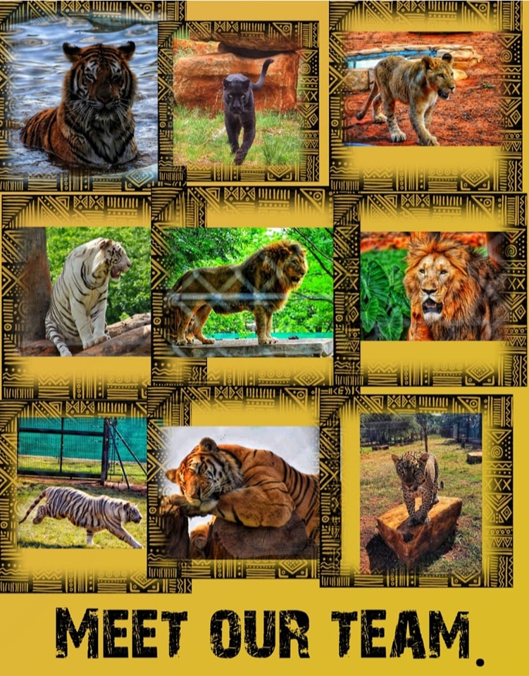 Lost Valley Predator Experience and Lodge | Rustenburg