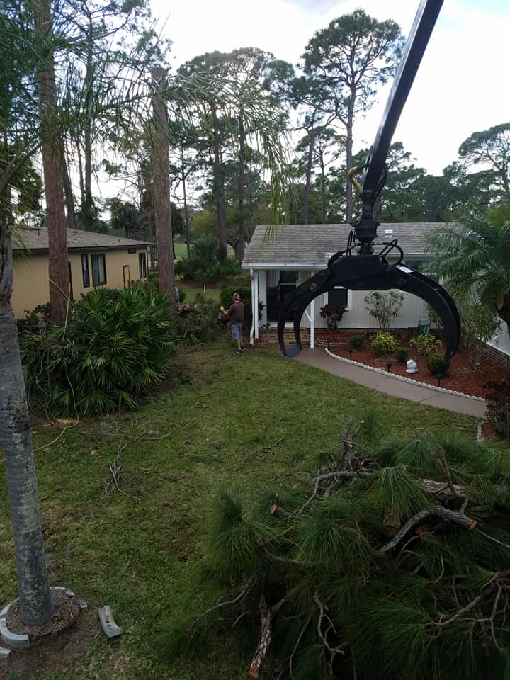 Southwest Tree Service LLC