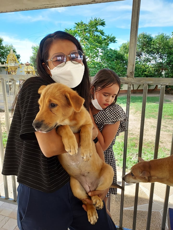 Some great news today. Khun... - Hope for Strays Foundation