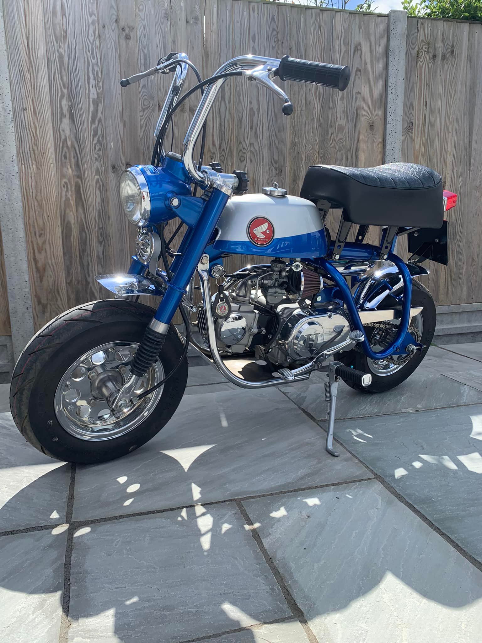 Honda z50r #fast50s #z50r #honda #pitbike #minibike #4mini 