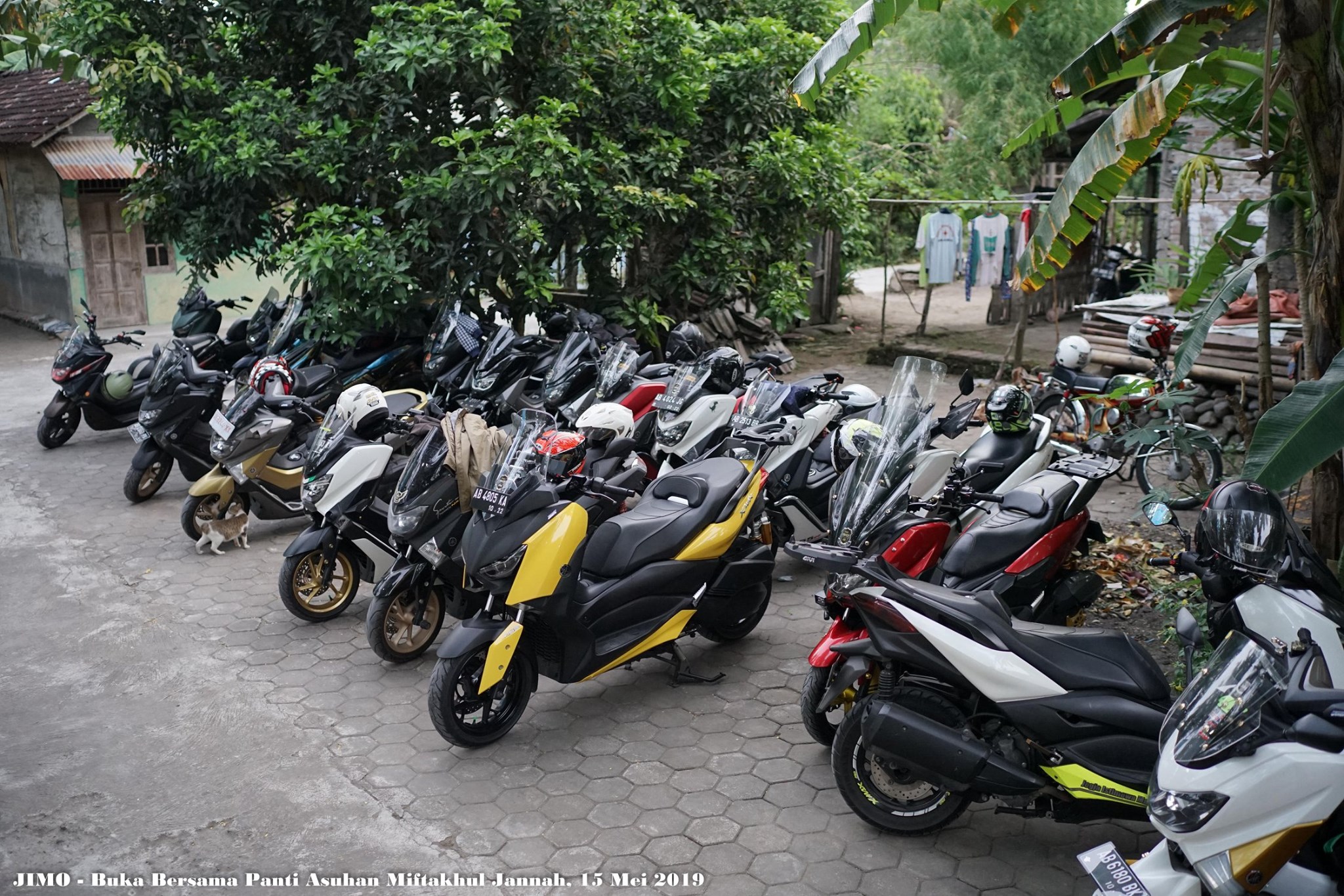 Jogja Istimewa Max Owners