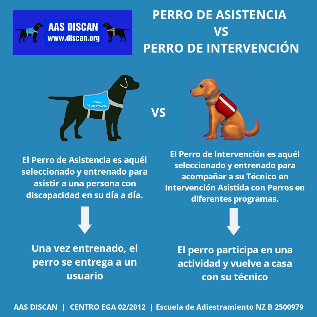 📢 Hoy, en nuestro lunes... - Associació d'Acció Social Discan | Facebook