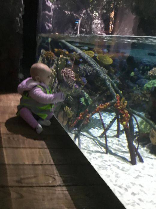 The Wiggly Worms at Elvington had... - Little Green Rascals
