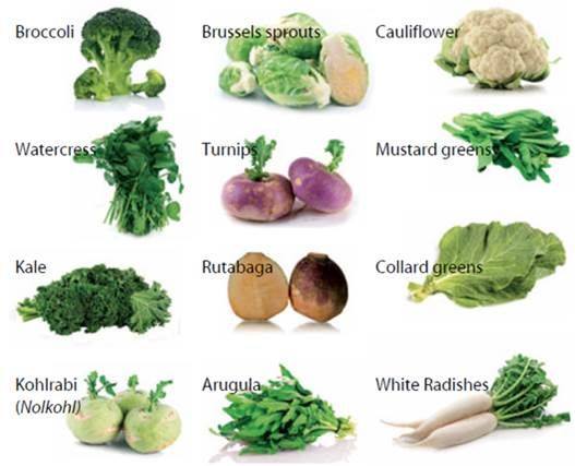 Estroblock - What is DIM? DIM is plant nutrient found in cruciferous ...