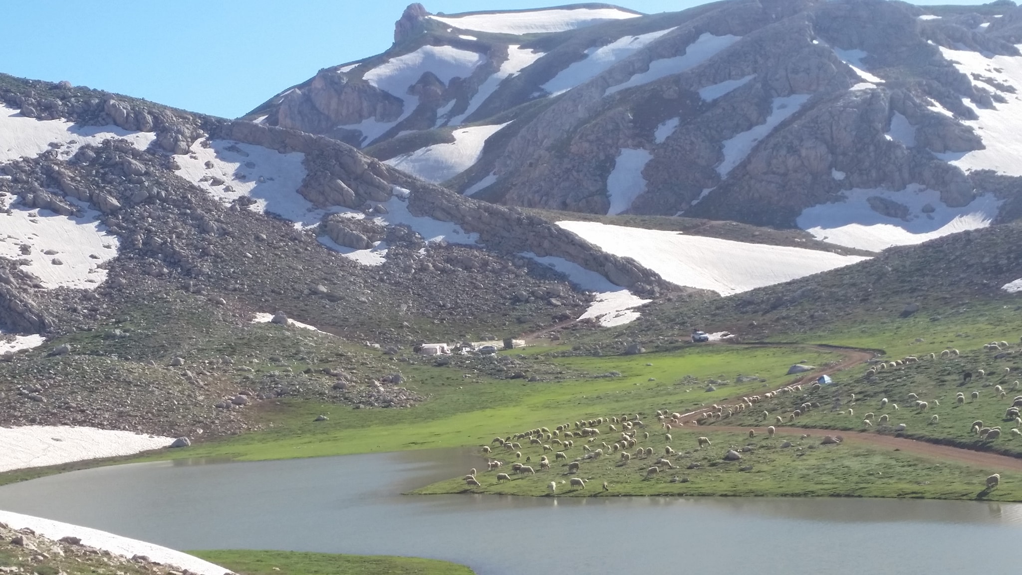 yayla-g-nleri-g-mbe-yaylasi