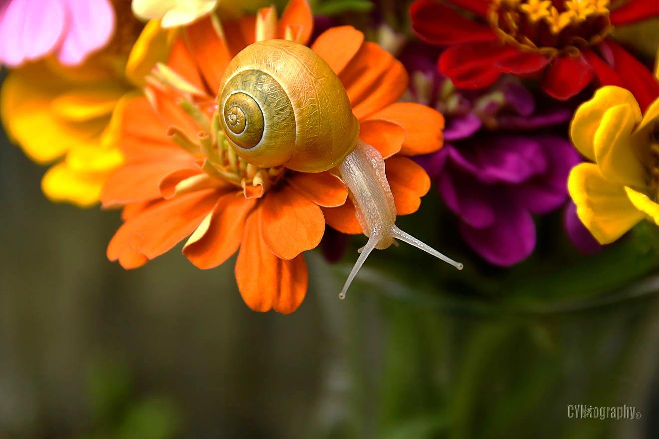 Pretty Gritty Photography... - Pretty Gritty Photography