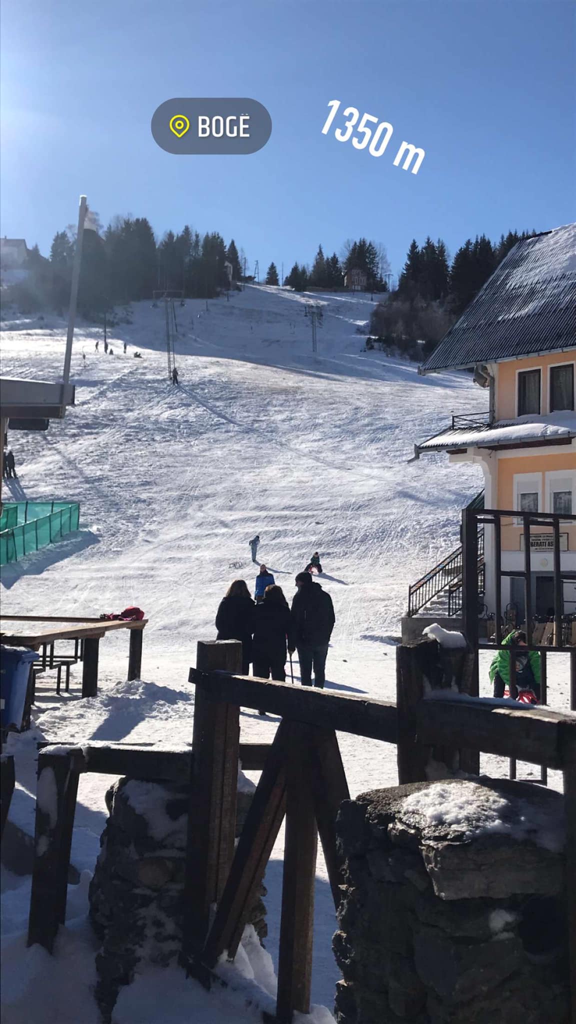 Boge rugovë