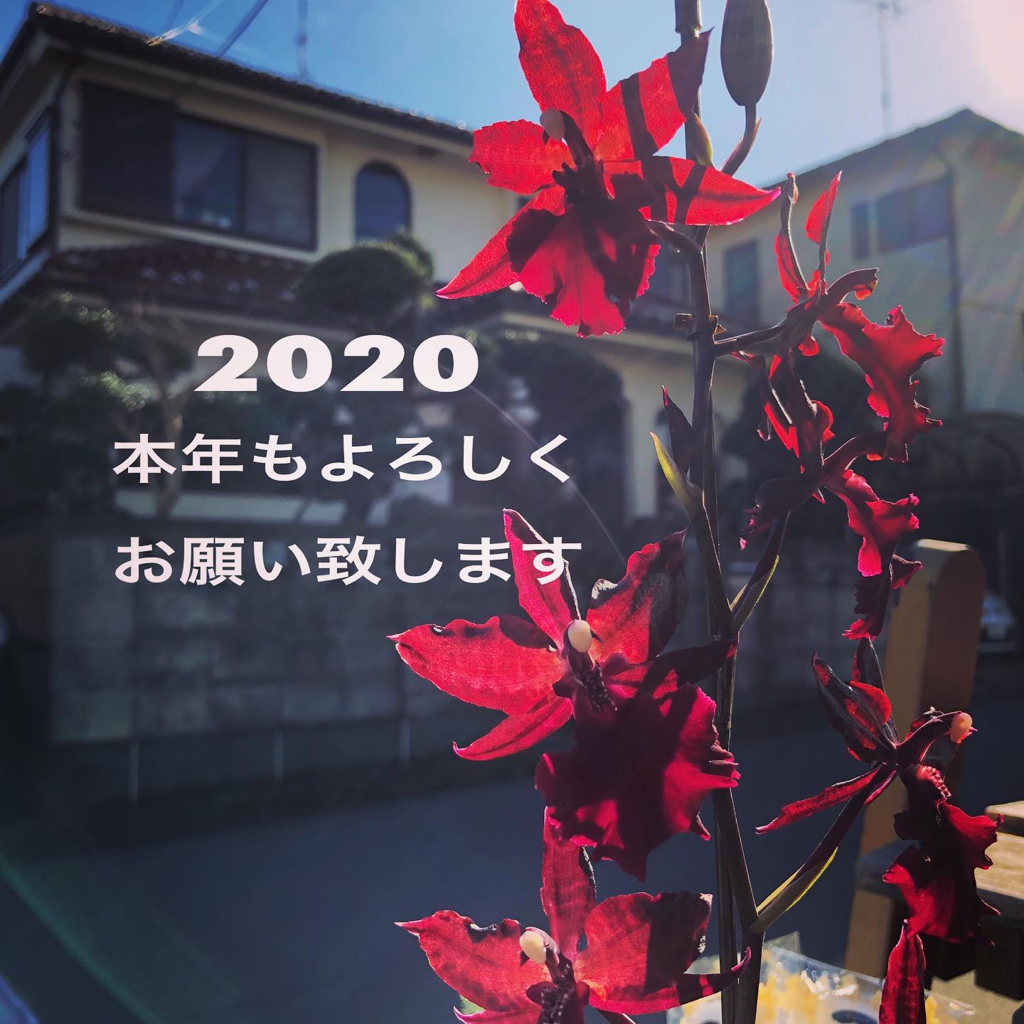明けましておめでとうございます。 2020年もよろしくお願い致します 