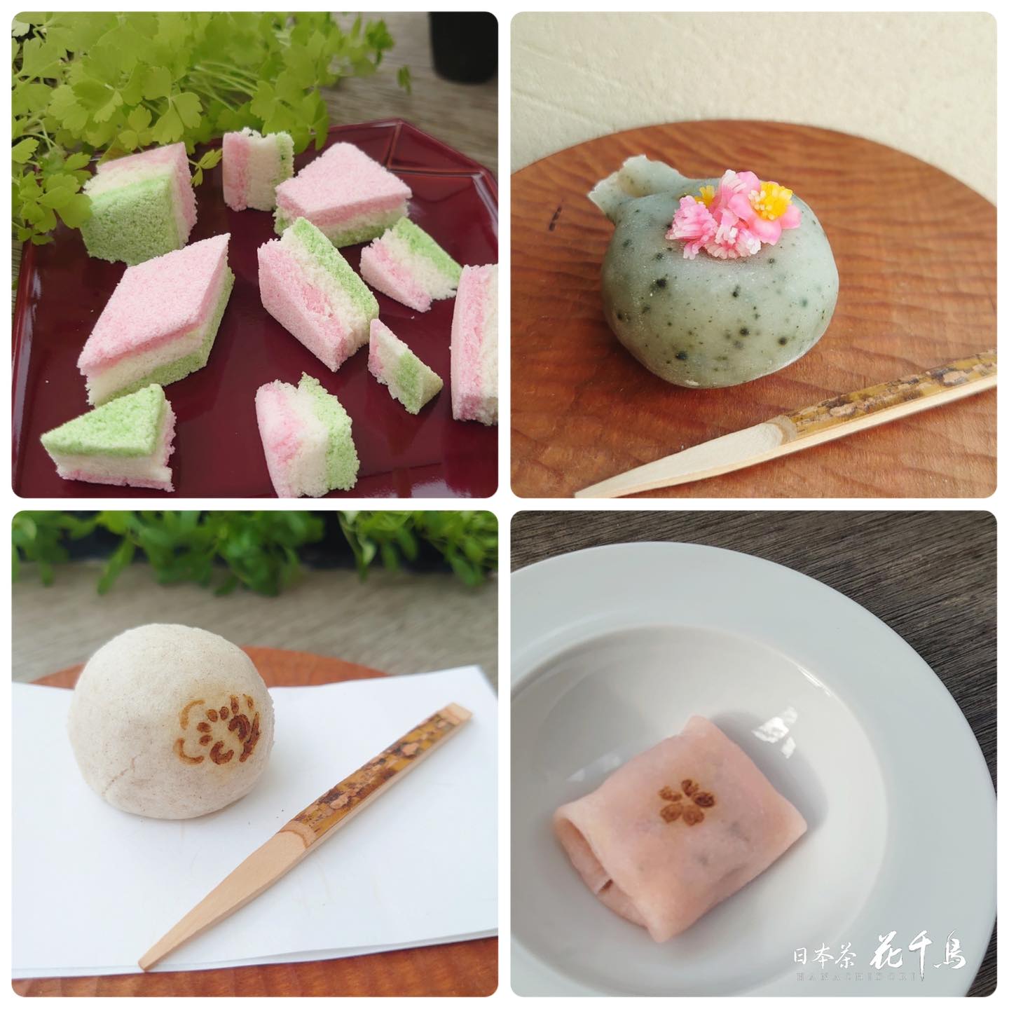 日本茶花千鳥 Explore Facebook