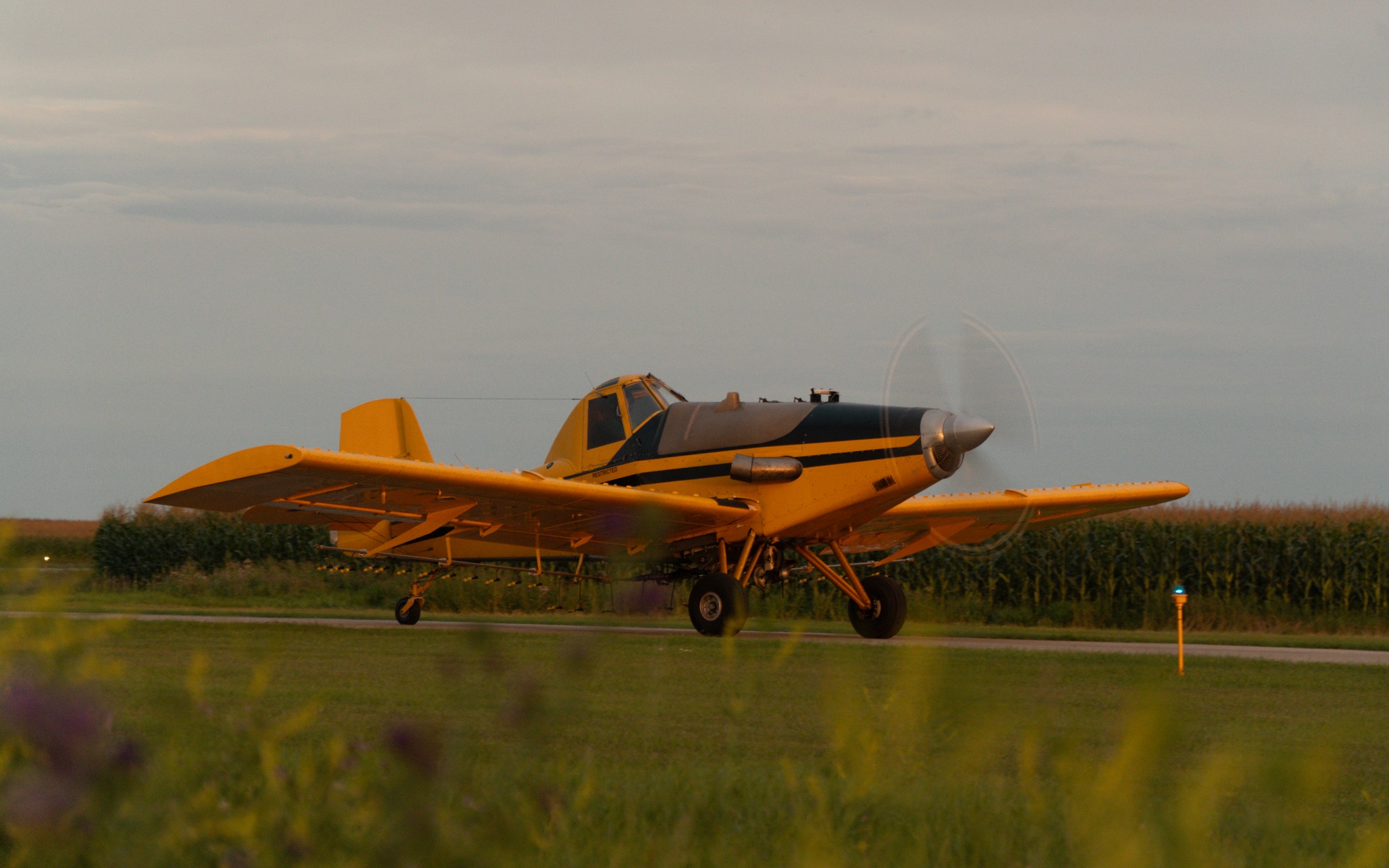 Fly Low Aviation