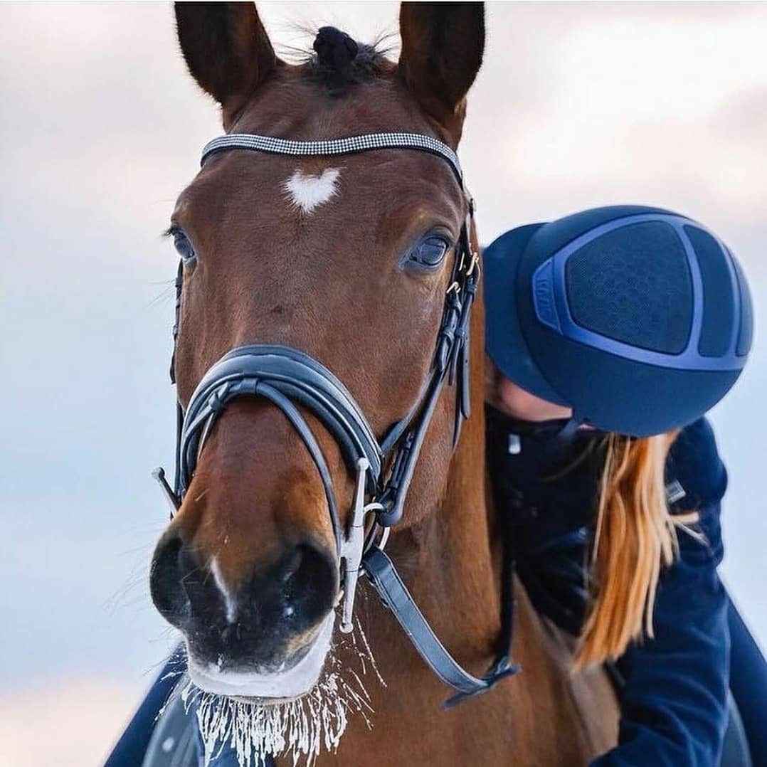Navy Is The New Black Fabulous Horse Heaven At Rohan Agri Supplies Facebook facebook