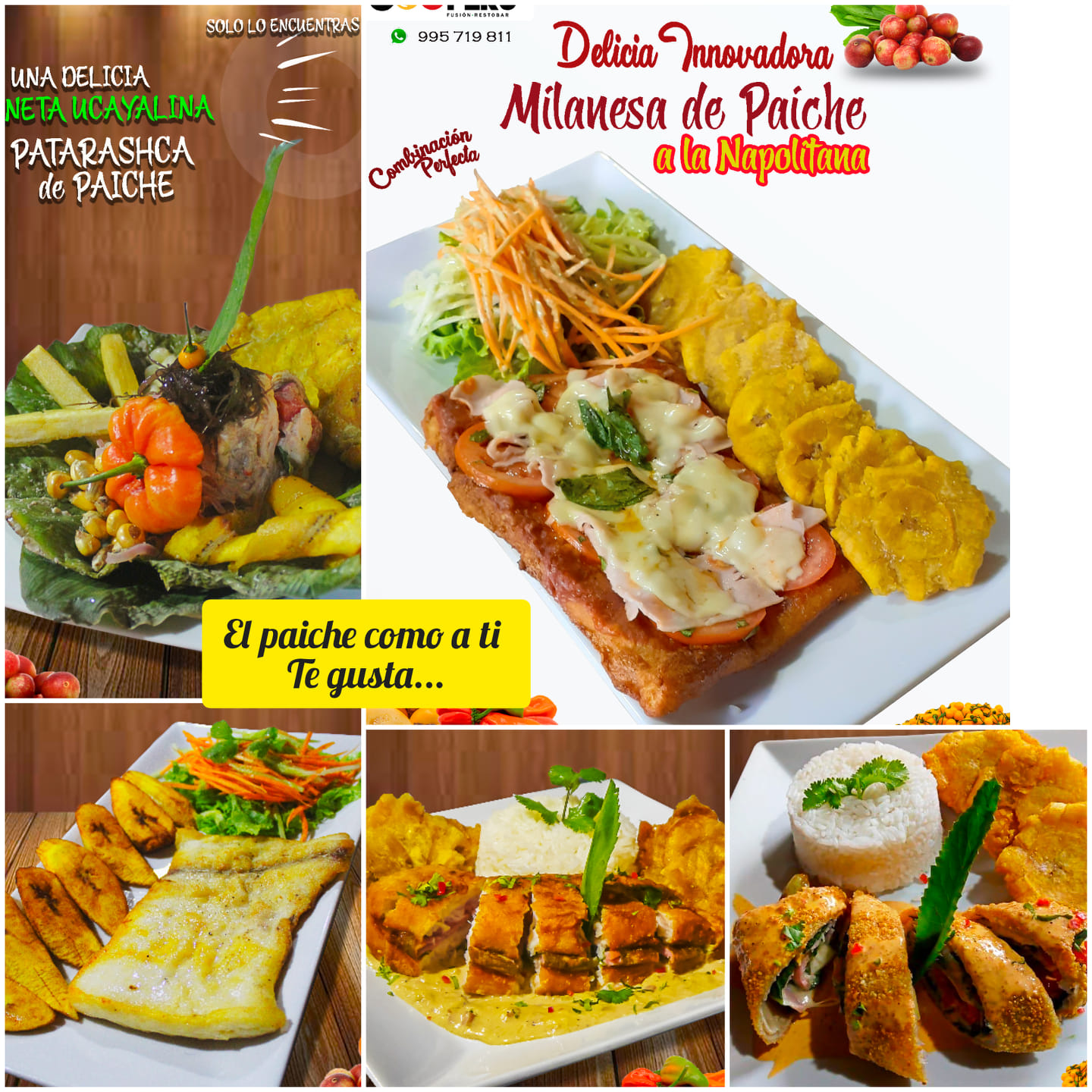 Cooper's - Fusión Restobar. - El paiche es un pescado de agua dulce mas ...