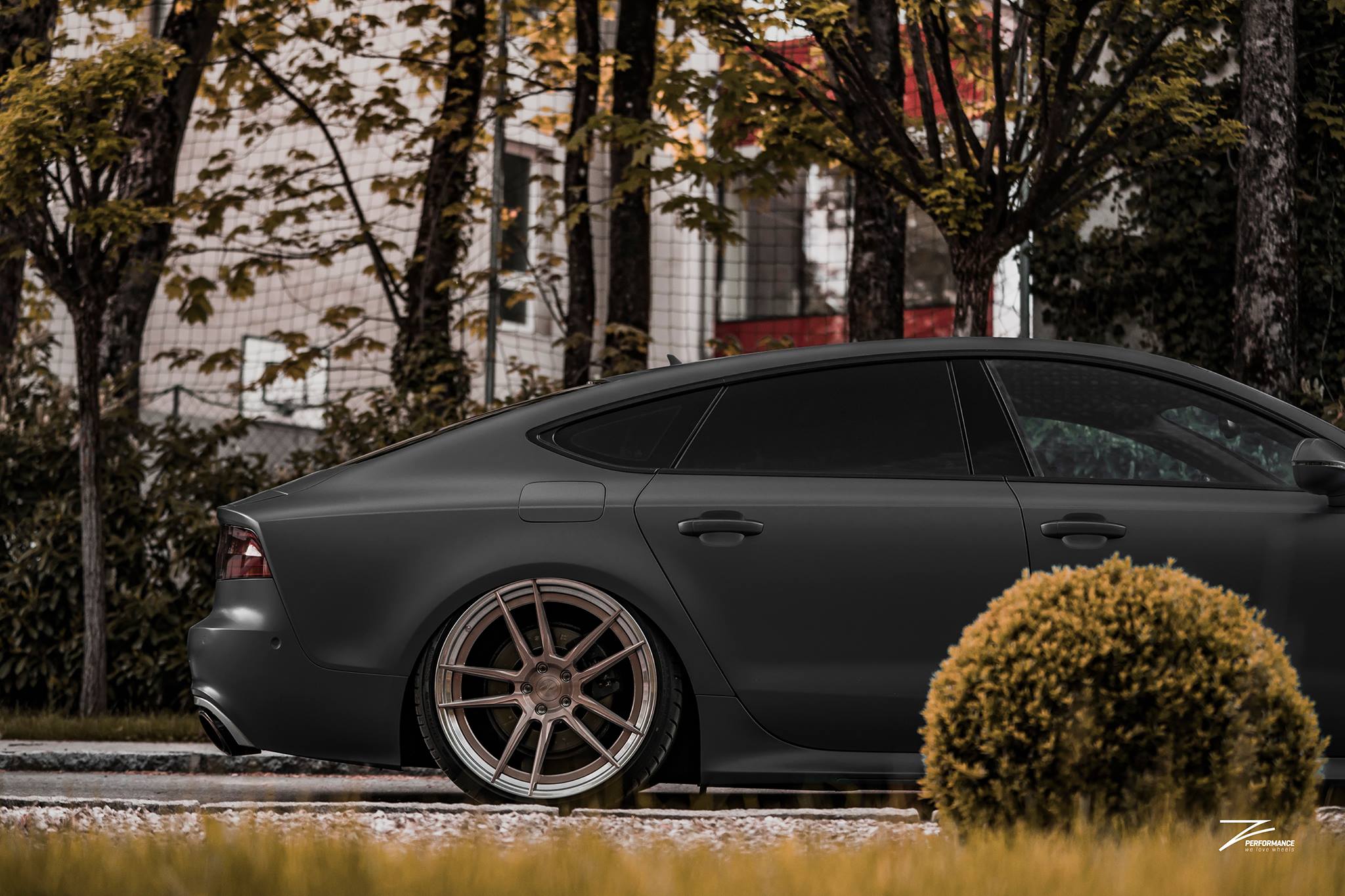 Z-Performance France