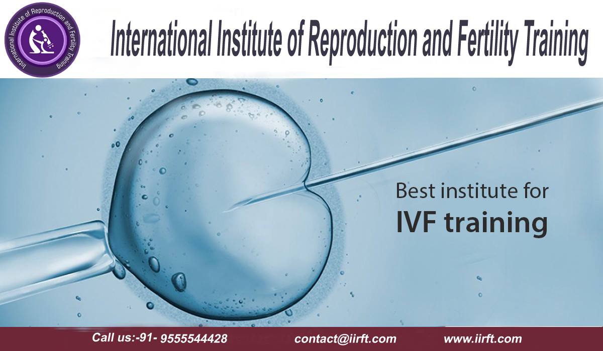 World Class Best IVF Training Centre Get ready for the best and hands ...