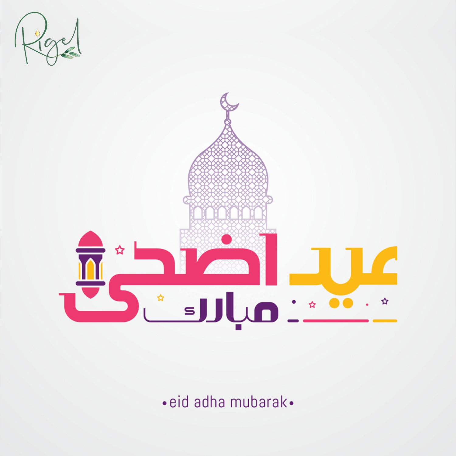 Rigel Pakistan | Lahore