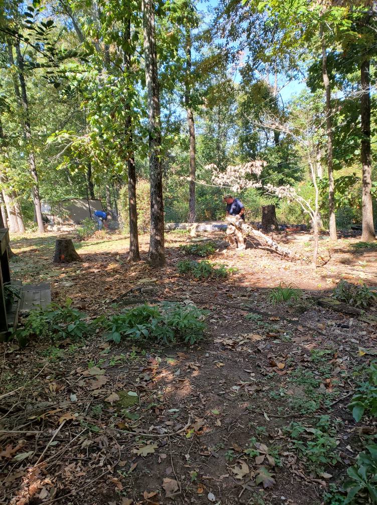 Fowler Tree and Stump added a new... - Fowler Tree and Stump