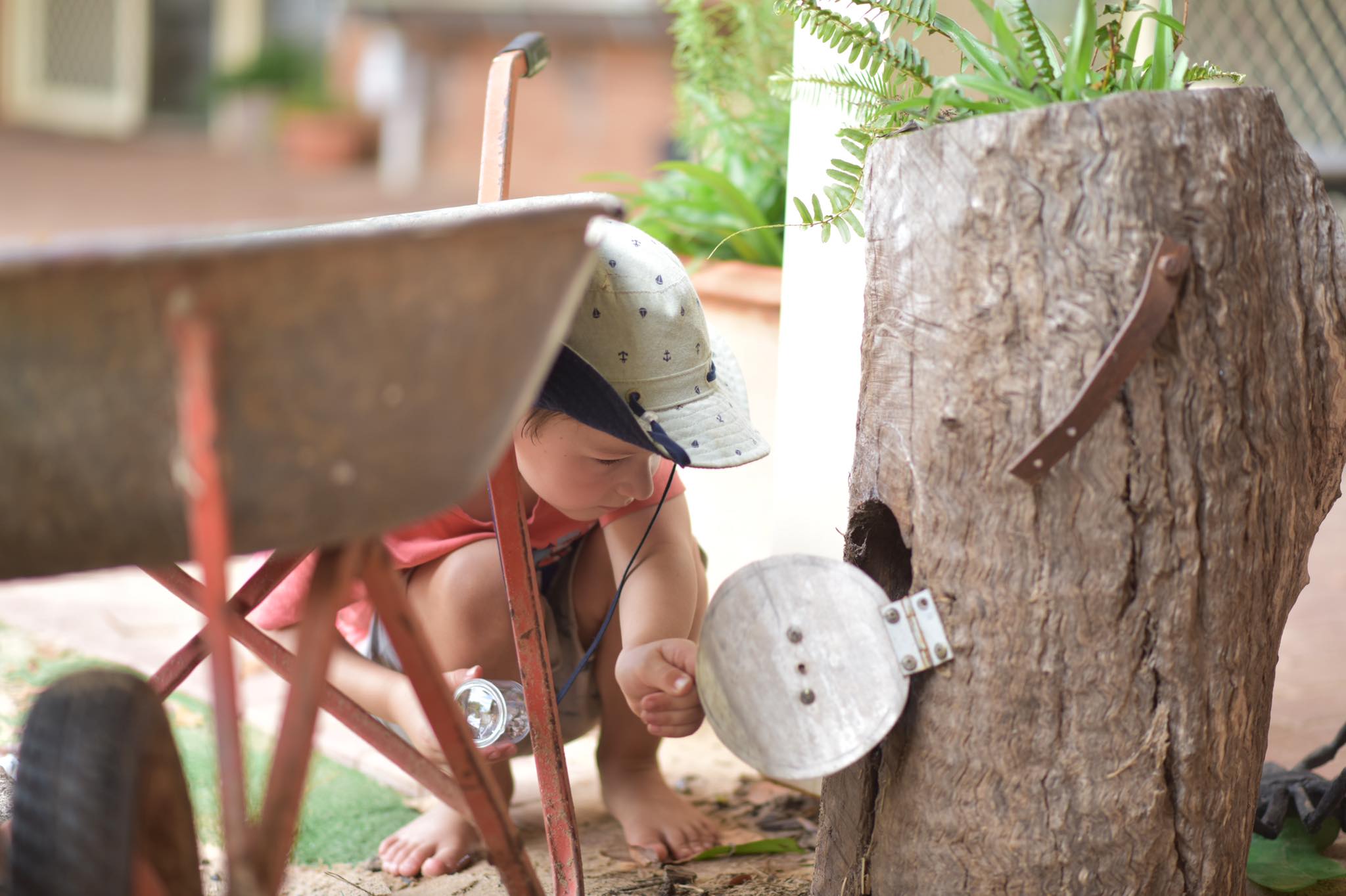 // INSECTS... - Stepping Stones Early Learning Centre Dubbo