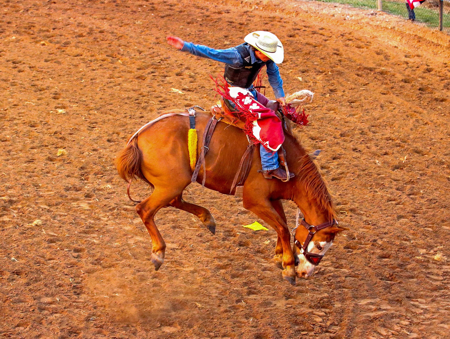 Yukon Review - The Yukon FFA Rodeo provided a taste of the...
