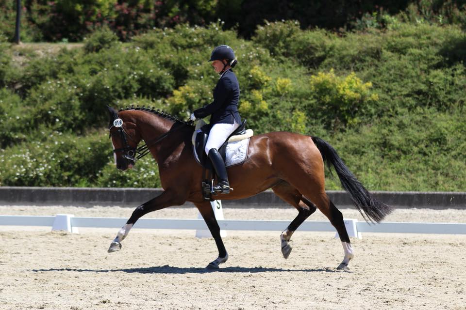 Zucht- & Reitstall Sommer - NEWS aus Wels: Verena Huber und Fernando ...