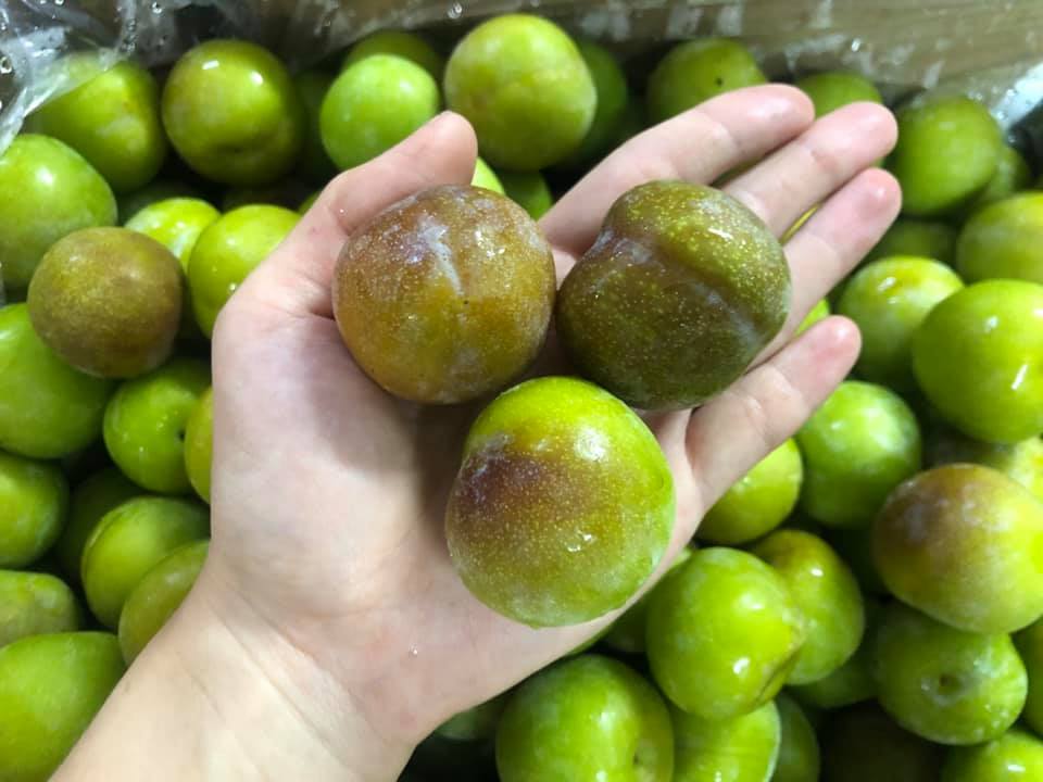 迷你 青红小李子 脆脆甜甜的口感 熟了之后更好吃 😋 - Soon Hin Fruit Trading- S.H.F | Facebook