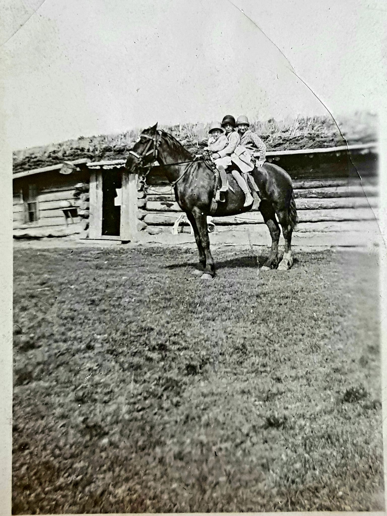 My aunt sitting on the back of this horse in front of the sod