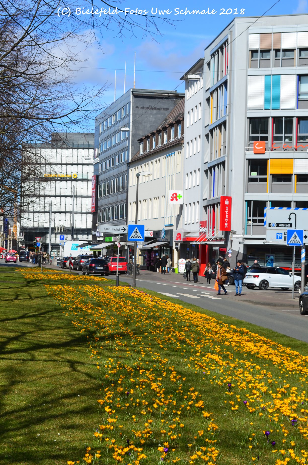 Der Krokus Teppich Auf Dem Bielefeld Fotos Uwe Schmale