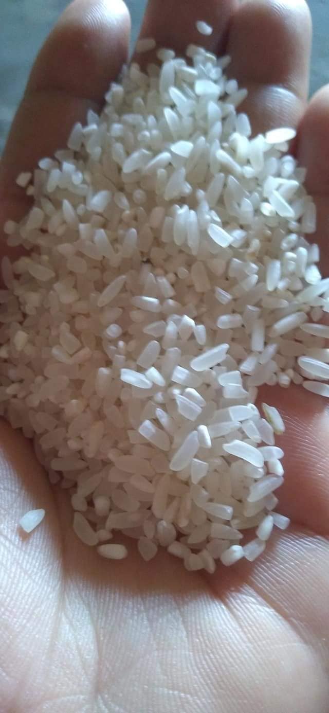 Palayan Rice Traiding -M&M