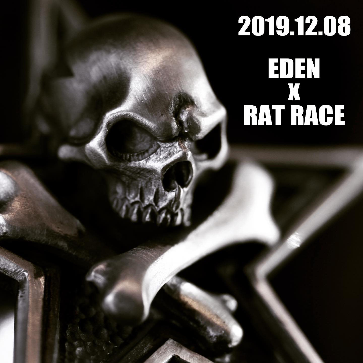 ラットレース×E.D.E.N | ヤマダウェブコム
