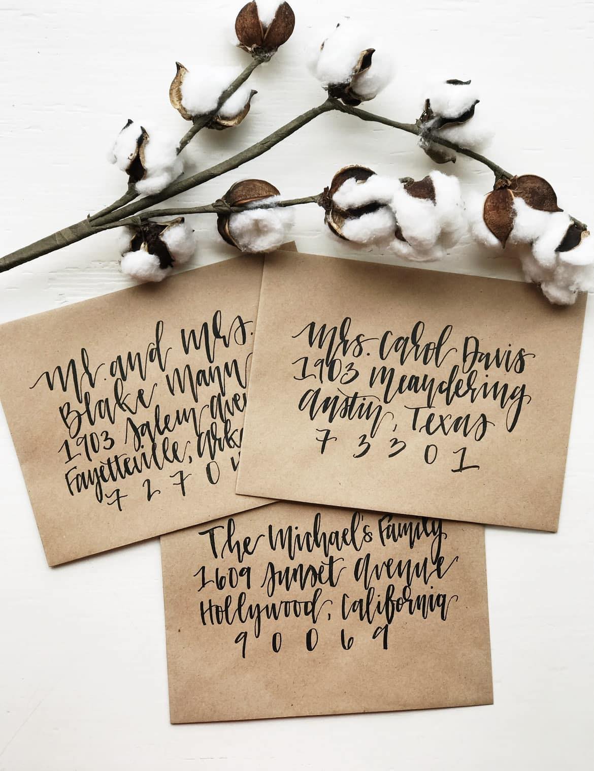 Tide & Vine Lettering