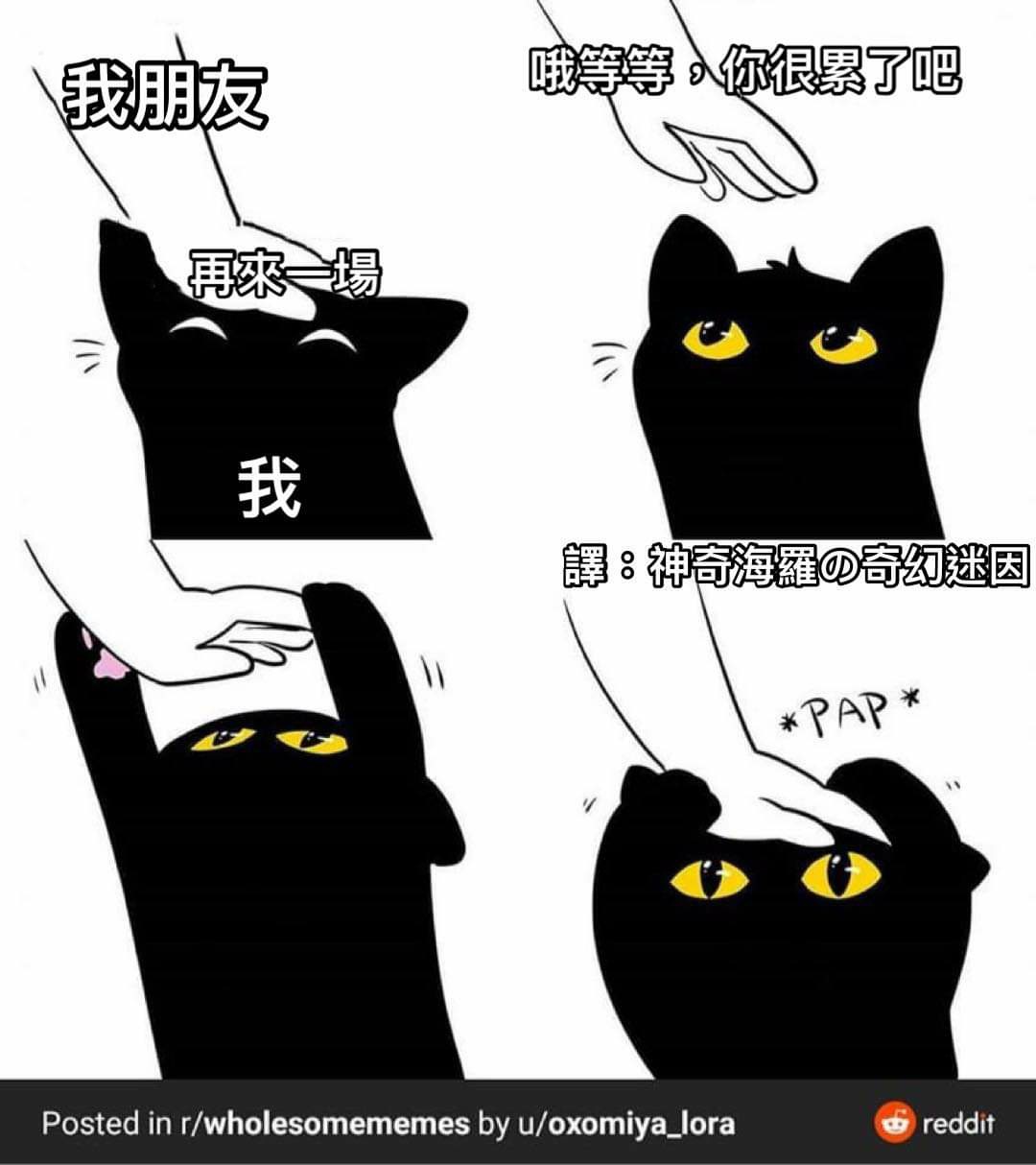 喜歡的話可以追蹤我喔ʕっ•ᴥ•ʔっ 歡迎加入粉專的社團 北七梗圖社... - 神奇海羅の奇幻迷因 hi lo memes