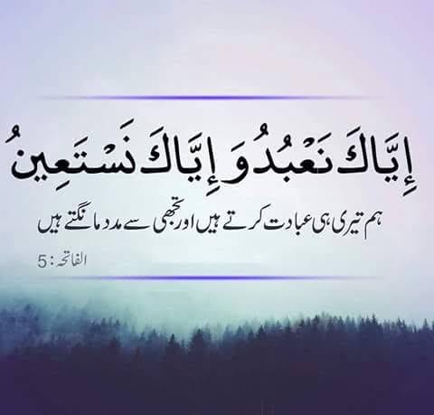 Muhammad Ali Raza Ch