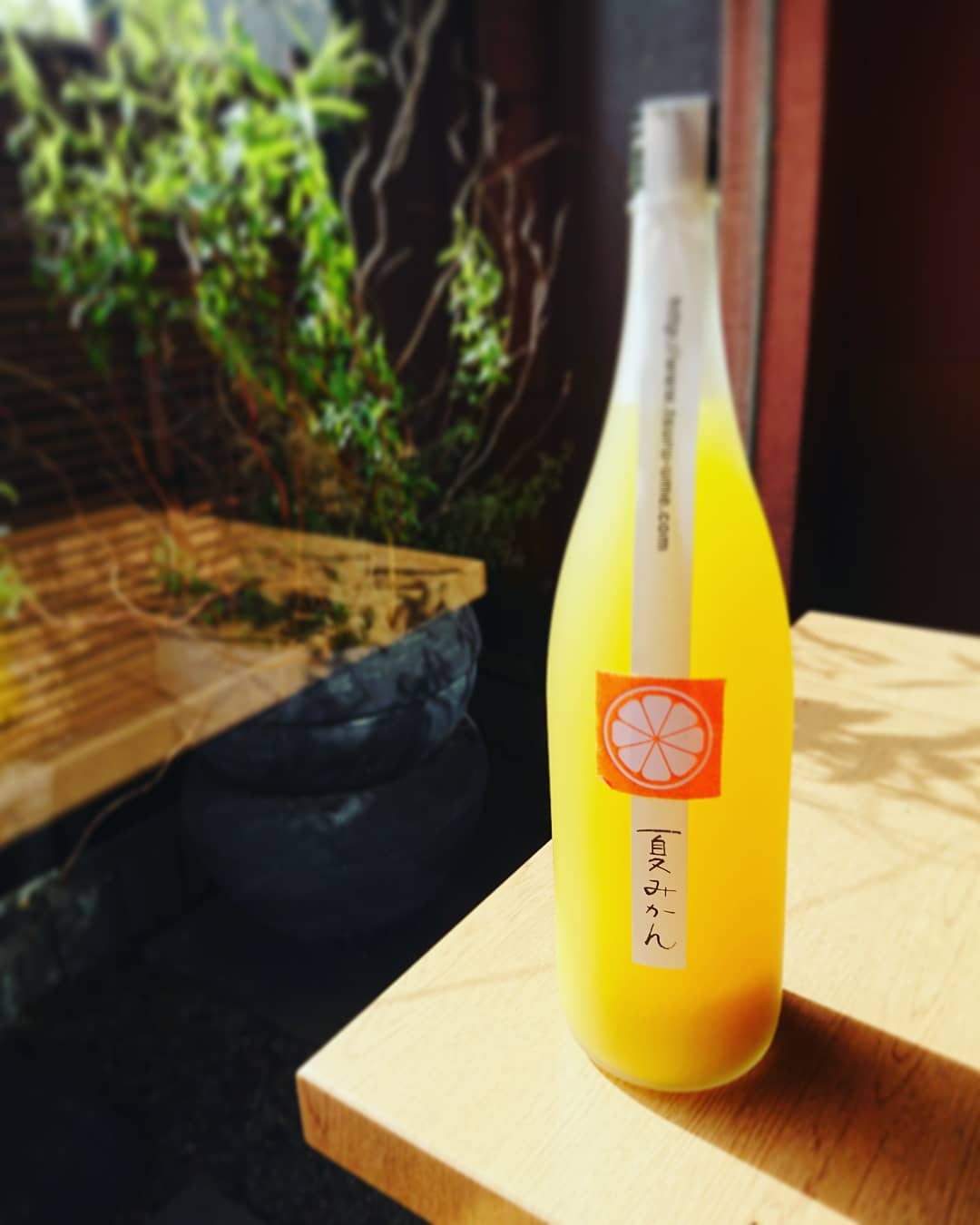 いろいろな手料理とおいしいお酒SaKuRa - 7月のSaKuRaの旬のドリンクは「夏の果実酒特集」です‼️ ボトルデザインも中身も超サマーな ...
