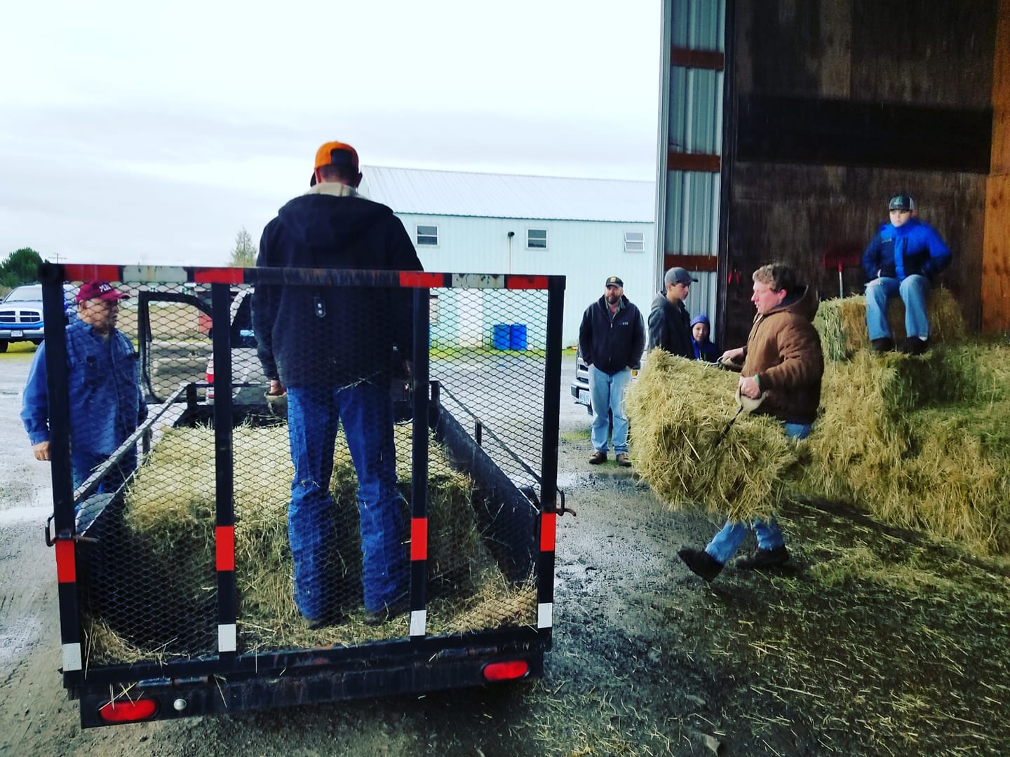 Western Hay Sales Home